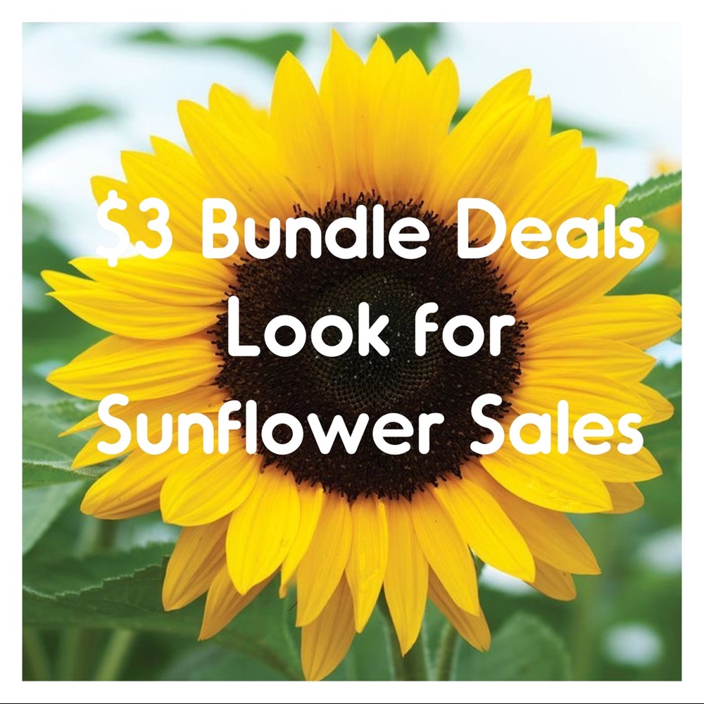 🌻$3 Deal Only When You Bundle🌻